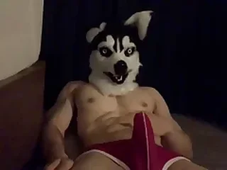 Hard Gay XXX Videos 1